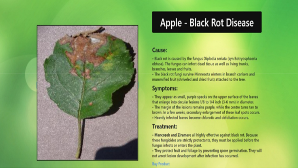 Plant Disease Detection Project